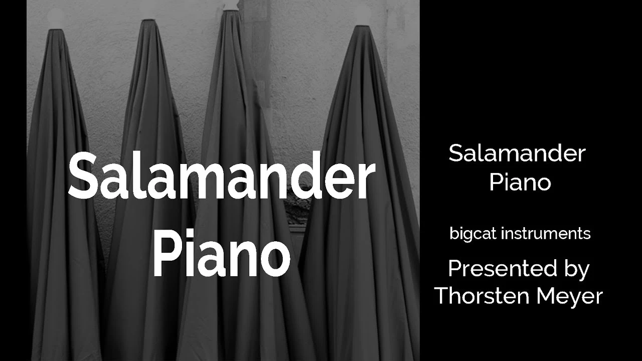 Salamander Piano Free Download + Plugins 2022-Softcrackpro